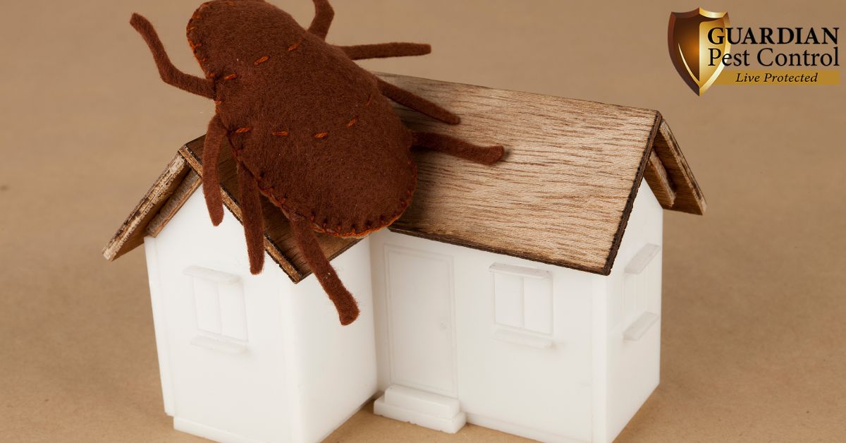 The Secret Hiding Spots Pests Love Inside Your Home